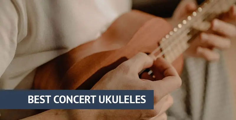 Best concert ukuleles